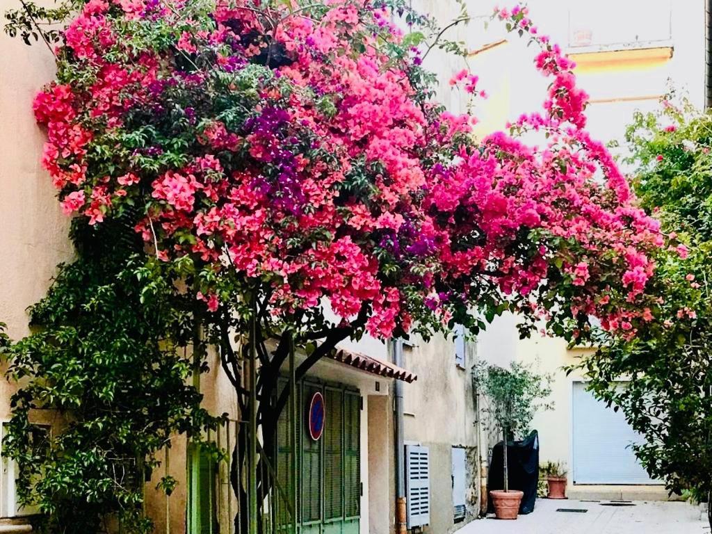 Le caillou à la Ponche St Tropez Apartamento Saint-Tropez Exterior foto